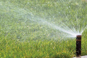 City of Stockton Watering Regulations